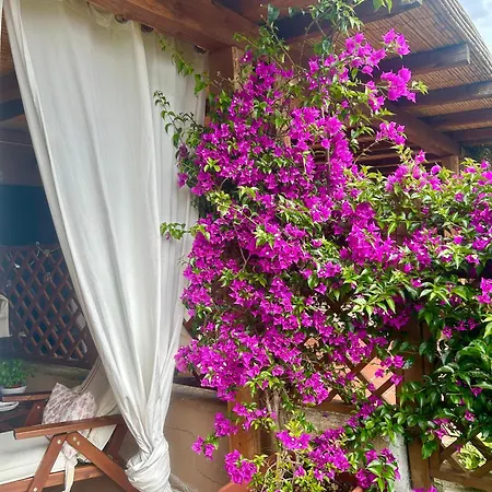 Casa Sardina * Palau