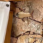 Casa Sardina *