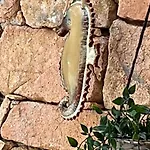 Vakantiehuis Casa Sardina *