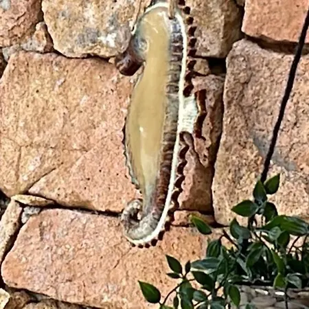 Dom wakacyjny Casa Sardina *