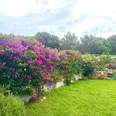 Casa Sardina Holiday home