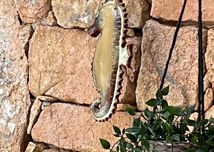 بيت للعطل Casa Sardina *