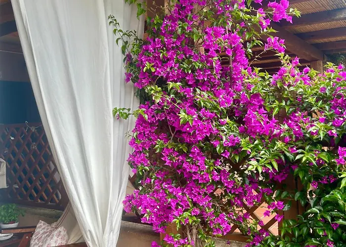 Casa Sardina * بالاو